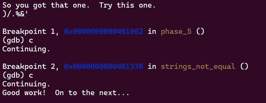 image-20231206002407449